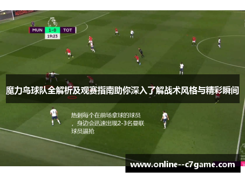 魔力鸟球队全解析及观赛指南助你深入了解战术风格与精彩瞬间
