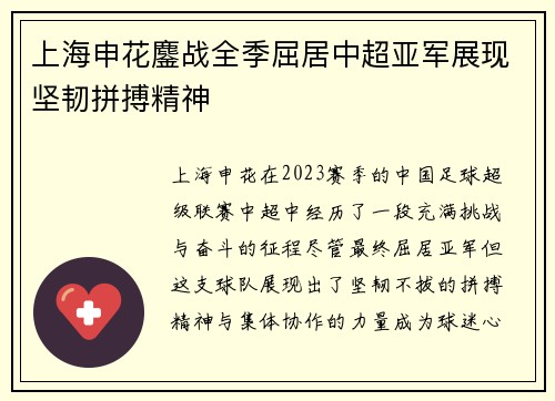 上海申花鏖战全季屈居中超亚军展现坚韧拼搏精神 上海申花鏖战全季屈居中超亚军展现坚韧拼搏精神